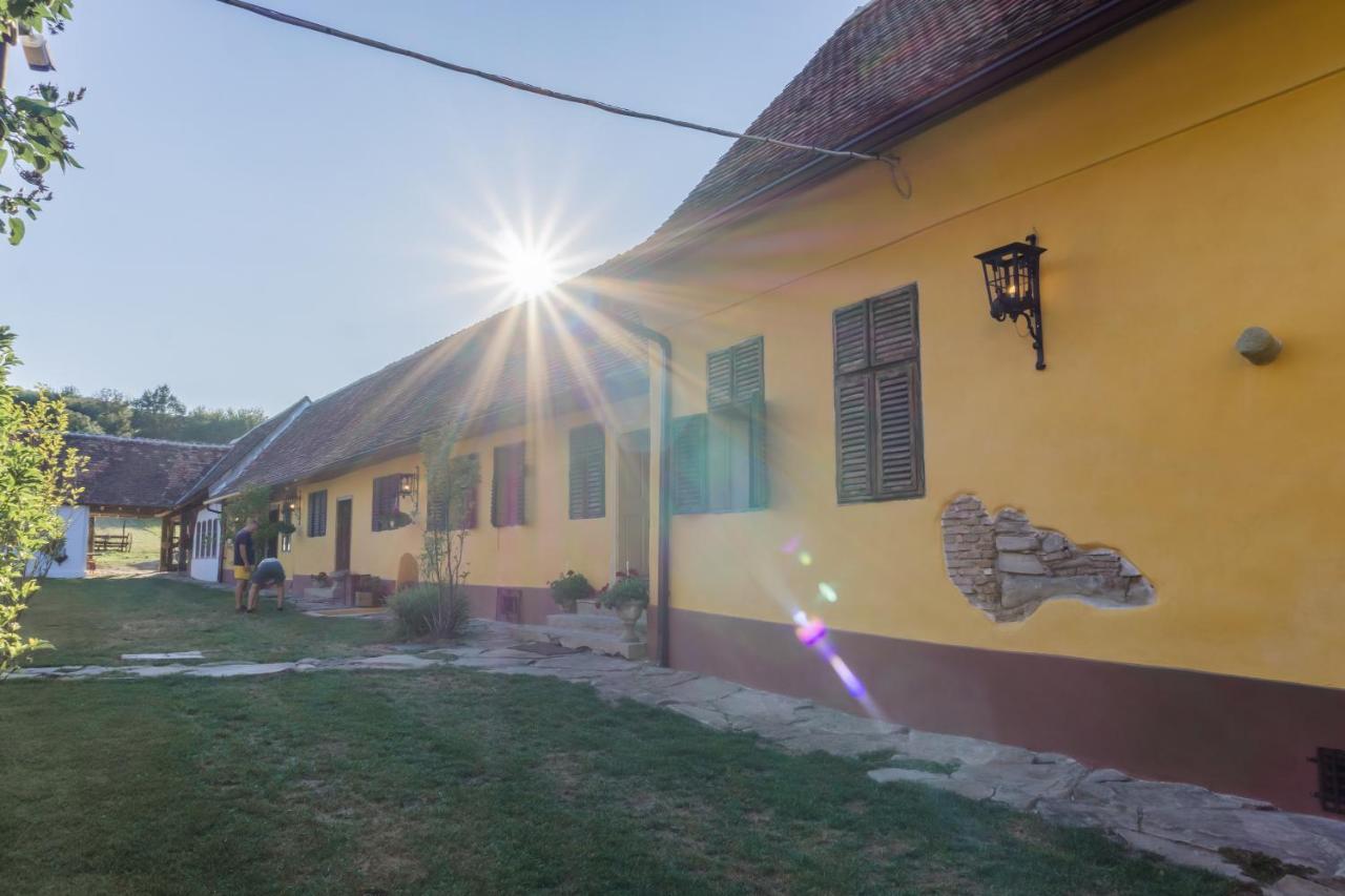 Sura Din Seleus - Seleus Barn - Idyllic Countryside M Museum House Hotel Sighisoara Exterior photo